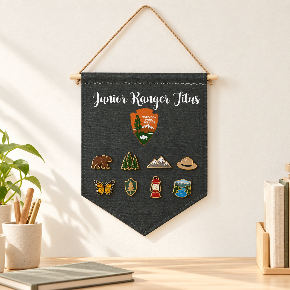 Personalized Charcoal National Parks Pin Banner — collector workspace with display pins